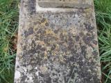 image of grave number 421236
